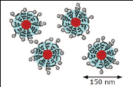 Gene Delivery