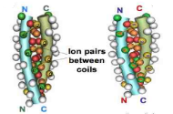 Smart Biomaterials