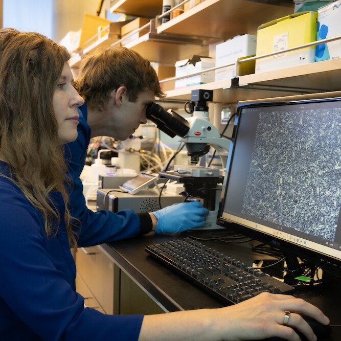 BME's Jessica Kramer and student using a microscope to examine their mimic cells